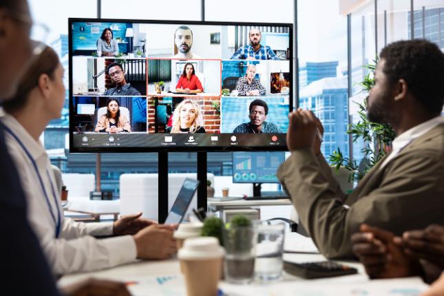 Teleconference Equipment